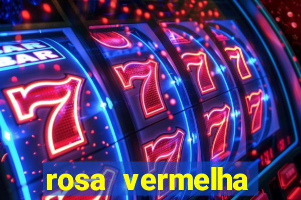 rosa vermelha (letra e cifra)